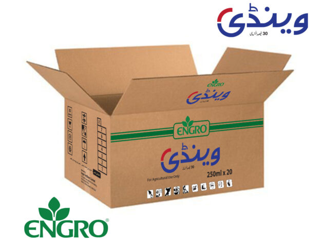 Wendi_carton_packaging