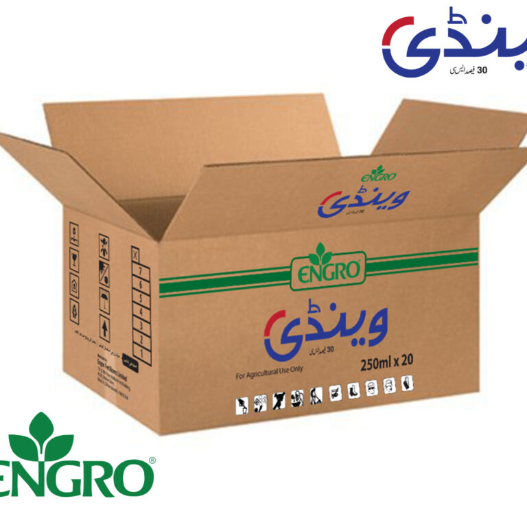 Wendi_carton_packaging